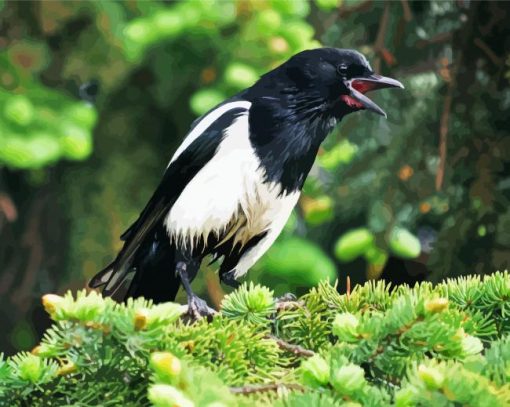 Aesthetic Black Billed Magpie Diamond Painting