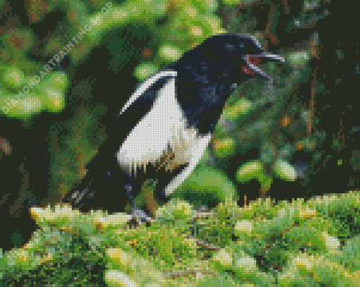 Aesthetic Black Billed Magpie Diamond Painting