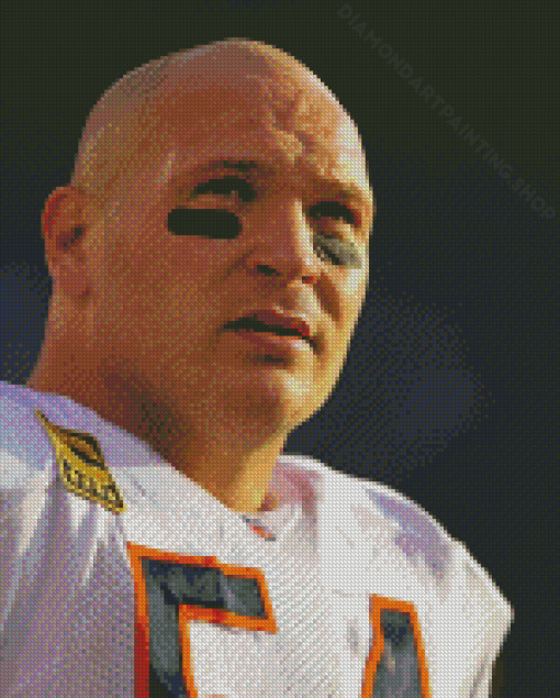 Close Up Brian Urlacher Diamond Painting