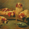 Clumber Spaniel Dogs Diamond Painting