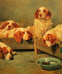 Clumber Spaniel Dogs Diamond Painting