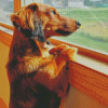 Dachshund Miniature Looking Out A Window Diamond Painting