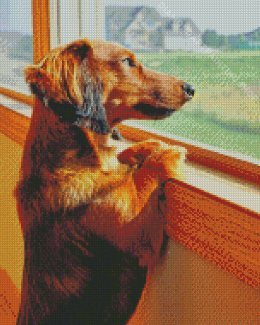 Dachshund Miniature Looking Out A Window Diamond Painting