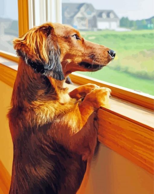 Dachshund Miniature Looking Out A Window Diamond Painting