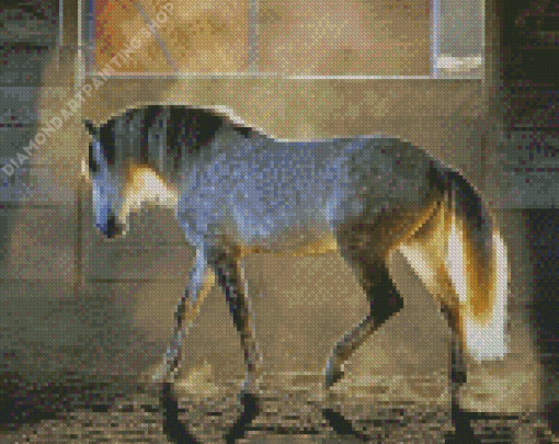 Dapple Grey Horse Diamond Painting