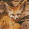 Desert Fennec Fox Diamond Painting