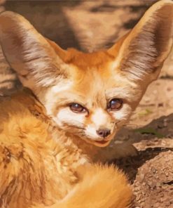 Desert Fennec Fox Diamond Painting