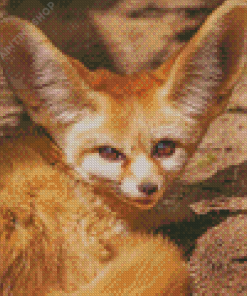 Desert Fennec Fox Diamond Painting