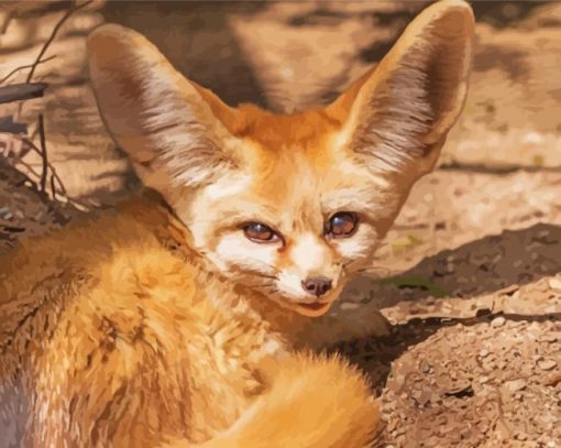 Desert Fennec Fox Diamond Painting