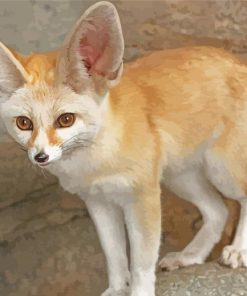 Fennec Fox Animal Diamond Painting