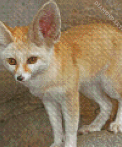 Fennec Fox Animal Diamond Painting