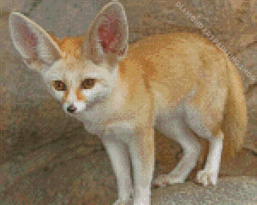 Fennec Fox Animal Diamond Painting