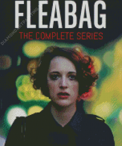 Fleabag Poster Diamond Painting