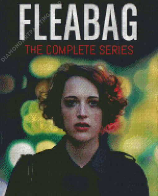 Fleabag Poster Diamond Painting