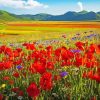 Flower Fields Italy Diamond Painting