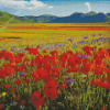 Flower Fields Italy Diamond Painting