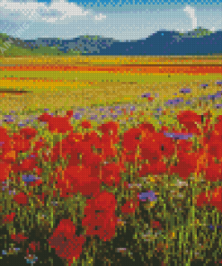 Flower Fields Italy Diamond Painting