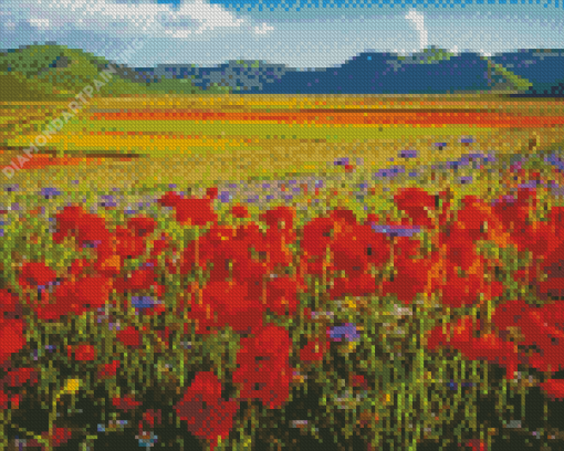 Flower Fields Italy Diamond Painting