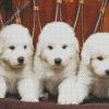 Great Pyrenees Puppies Diamond Painting