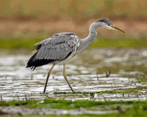 Grey Heron Bird Diamond Painting