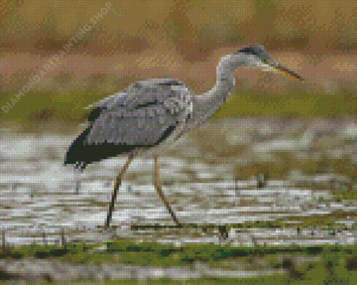 Grey Heron Bird Diamond Painting