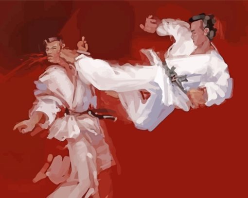 Karate Players Art Diamond Painting