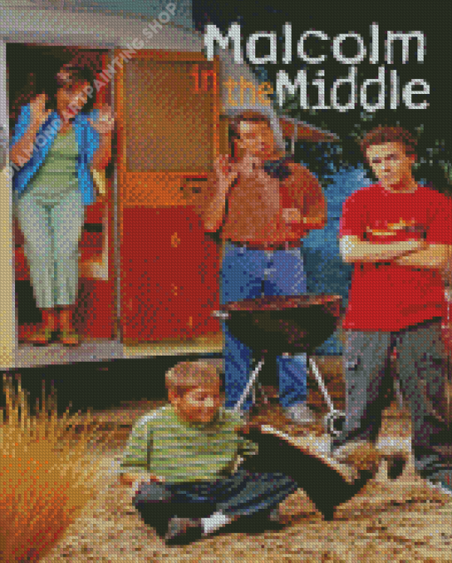 Malcolm In The Middle Poster Diamond Painting