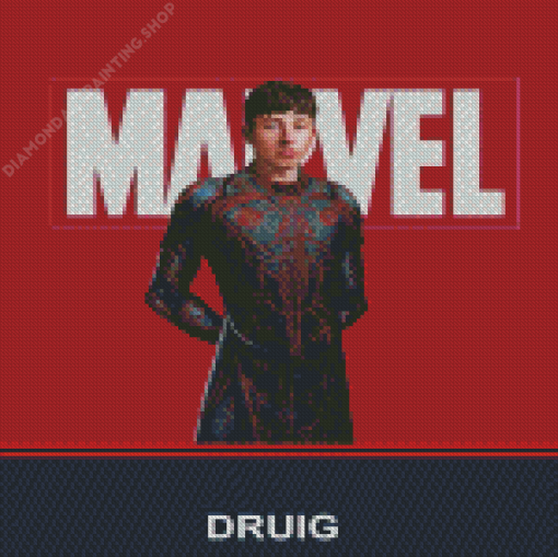 Marvel Druig Poster Diamond Painting