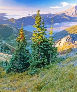 Mount St Helens Stratovolcano In Washington Diamond Painting