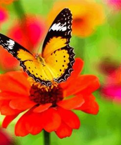 Orange Flower With Butterfly Diamond Painting