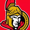 Ottawa Senators Logo Diamond Painting