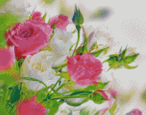 Pink And White Roses Flowers Diamond Painting