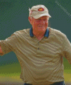 Professional Golfer Jack Nicklaus Diamond Painting