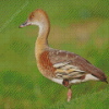 Whistling Duck Animal Diamond Painting