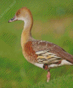 Whistling Duck Animal Diamond Painting