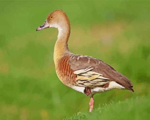 Whistling Duck Animal Diamond Painting