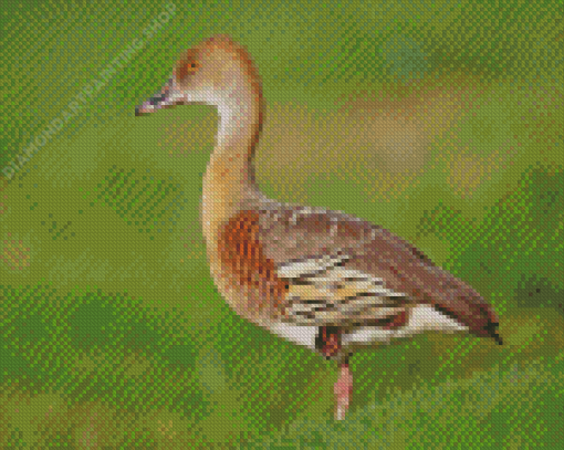 Whistling Duck Animal Diamond Painting