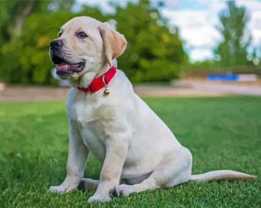 White Labrador Dog Animal Diamond Painting