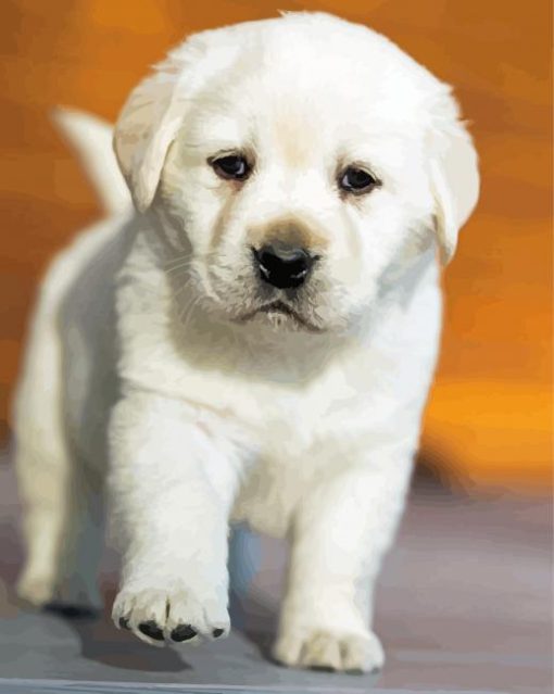 White Labrador Puppy Diamond Painting