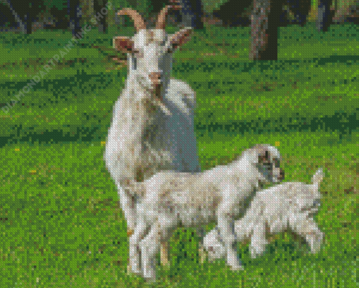 White Goats Diamond Painting