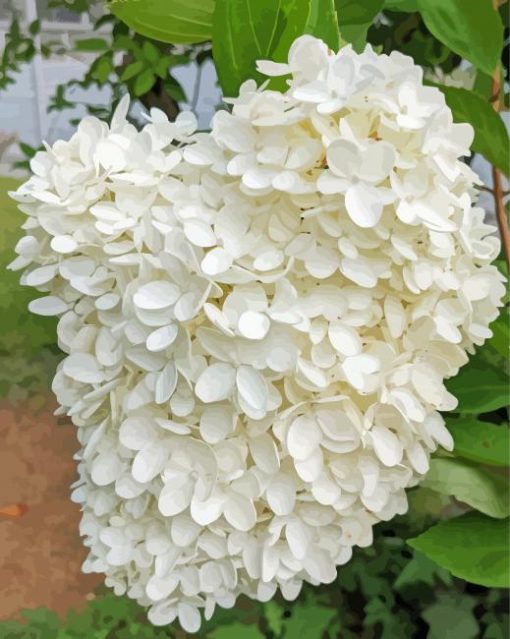 White Hydrangeas Flowers Diamond Painting