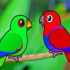 Cute Eclectus Birds Diamond Painting