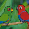 Cute Eclectus Birds Diamond Painting