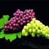 Grape Fruit Food Diamond Painting