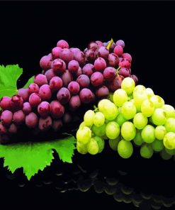 Grape Fruit Food Diamond Painting