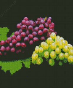 Grape Fruit Food Diamond Painting