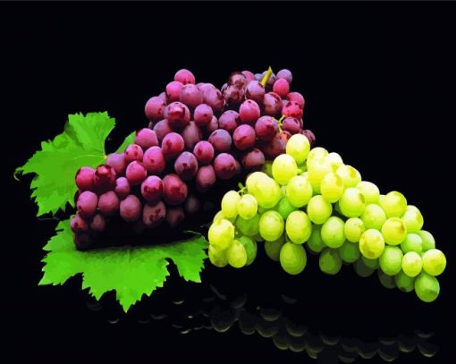 Grape Fruit Food Diamond Painting