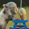 Pig Eating Ice Cream Diamond Painting