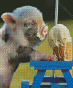 Pig Eating Ice Cream Diamond Painting