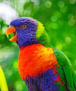 Rainbow Lory Bird Diamond Painting